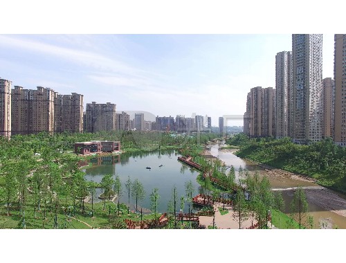 金年会金字招牌诚信至上：太仓市汇道绿化工程