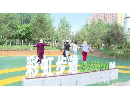 武汉市政绿化常用苗木