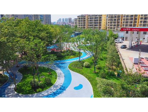 桐乡城市道路绿化树种