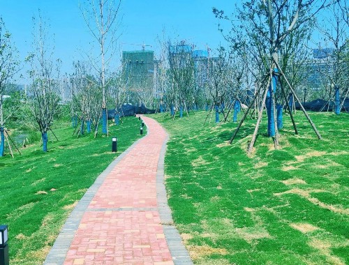 无锡城市绿化工程师招聘