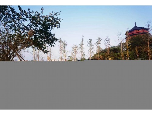 金年会金字招牌信誉至上：市政绿化工程垫资