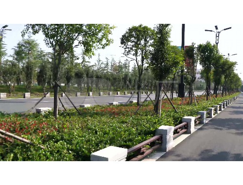 金年会金字招牌诚信至上：室外绿化工程养护