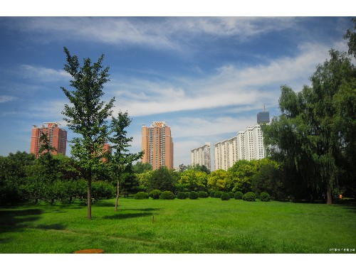 天津河北城市绿化