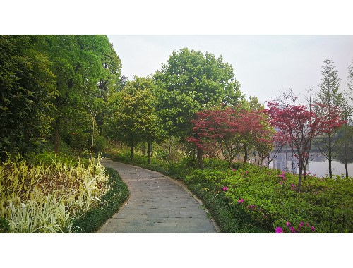 峨眉山市政绿化是什么工作