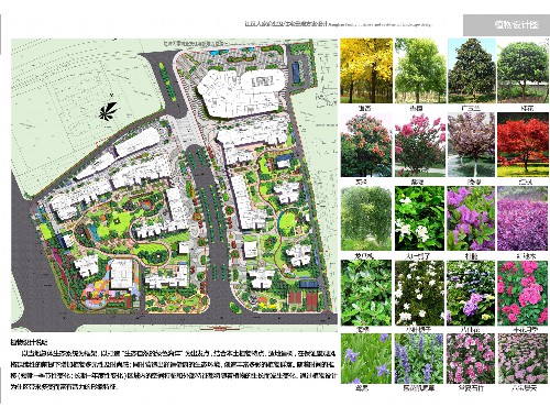 建阳园林绿化有限公司中标