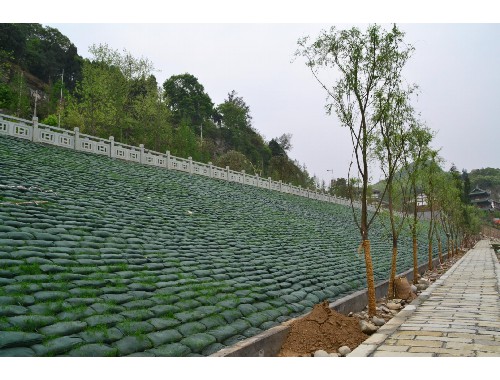 德惠市绿化造园建设集团有限公司