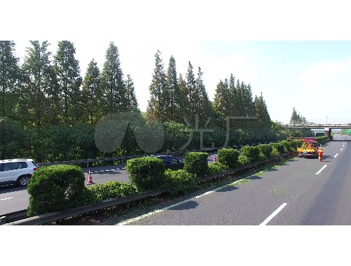 金年会金字招牌信誉至上：轩美园林绿化工程