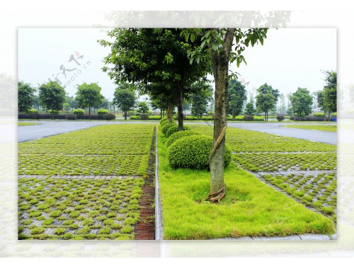 金年会金字招牌信誉至上：扬州城市景观绿化工程施工方案