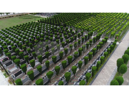 金年会金字招牌诚信至上：小区园林绿化工程业务咨询