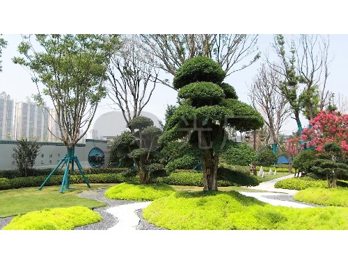 金年会金字招牌诚信至上：园林绿化工程检测站招聘